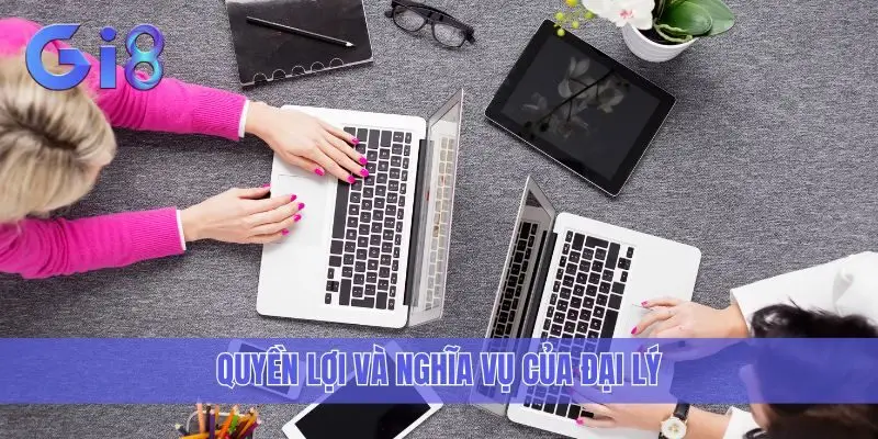 Quyền lợi và nghĩa vụ của đại lý