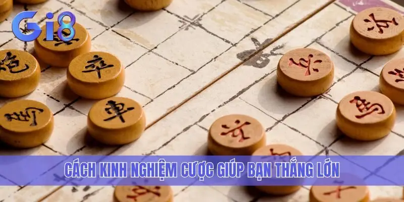 Cách kinh nghiệm cược giúp bạn thắng lớn