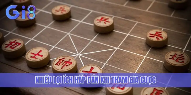 Nhiều lợi ích hấp dẫn khi tham gia cược